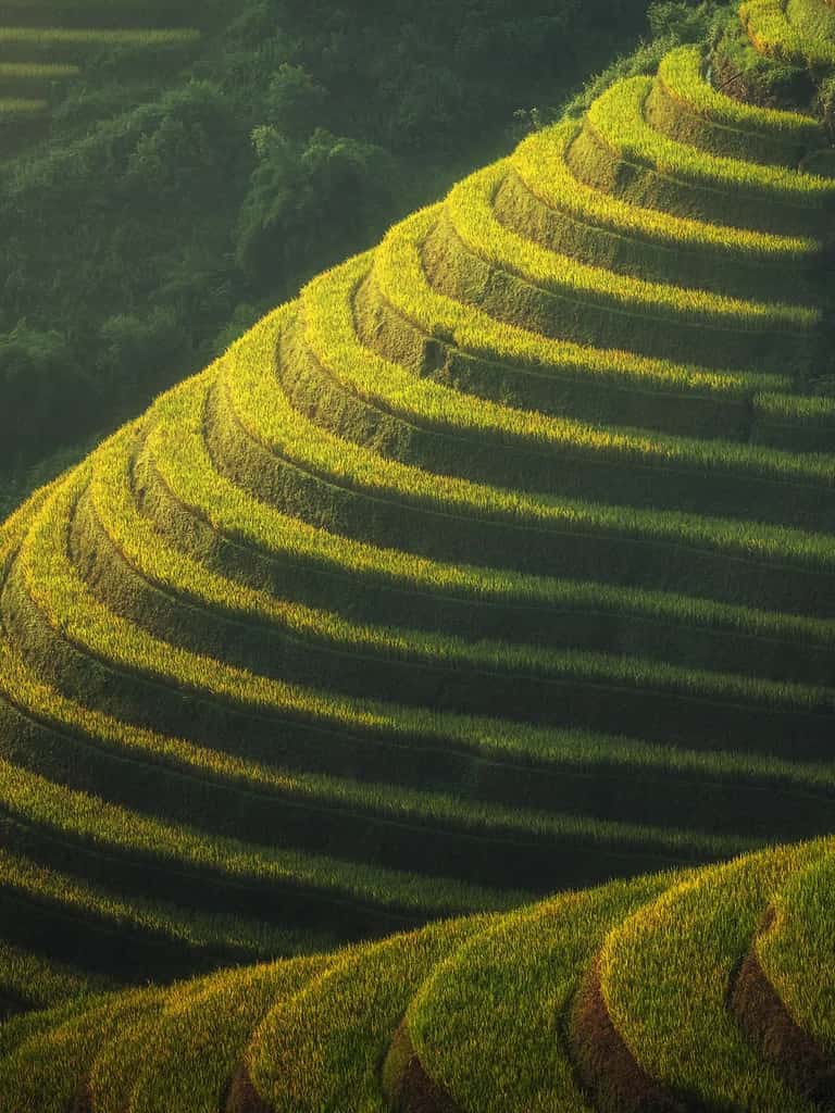 Background Blur