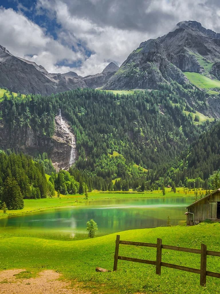 Background